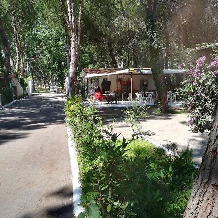 Hotel Parco delle Viole Paestum Esterno foto