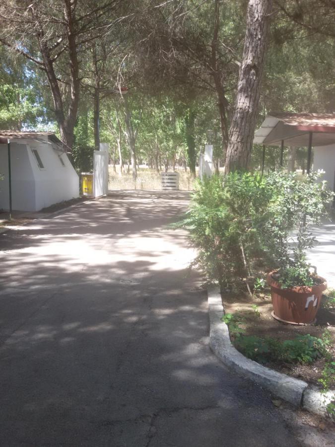 Hotel Parco delle Viole Paestum Esterno foto