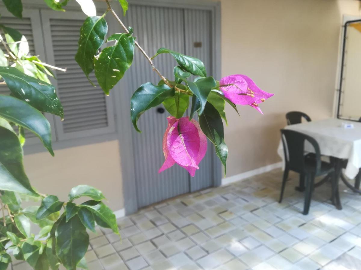 Hotel Parco delle Viole Paestum Esterno foto